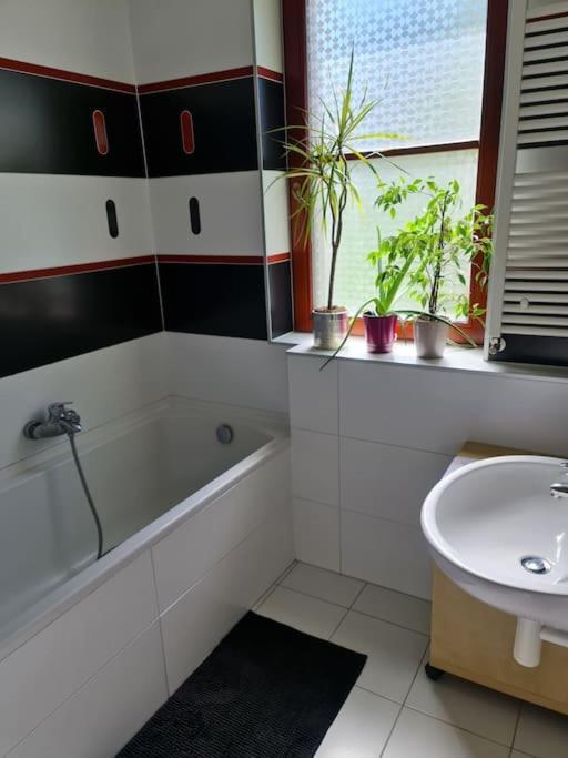 Comfortable Apartment! Prag Exteriör bild